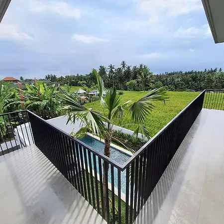 Green Rice View Villa